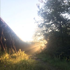 Meet your Posher, Cole